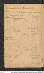 Seite 8, Tagebuch "Diluvium | Getzersdorf | Statzendorf | Willendorf | Mießling-Tal | Höhlen in Kremstal" (NHMW-PRAE-BBB-04)